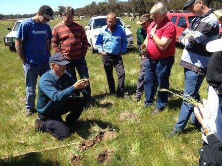 Graytown and Costerfield farmers looking at ironstone nodules and root development in tight soil.